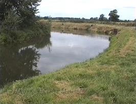 The tranquil River Tone near our lunch stop at Ham, Creech St Michael